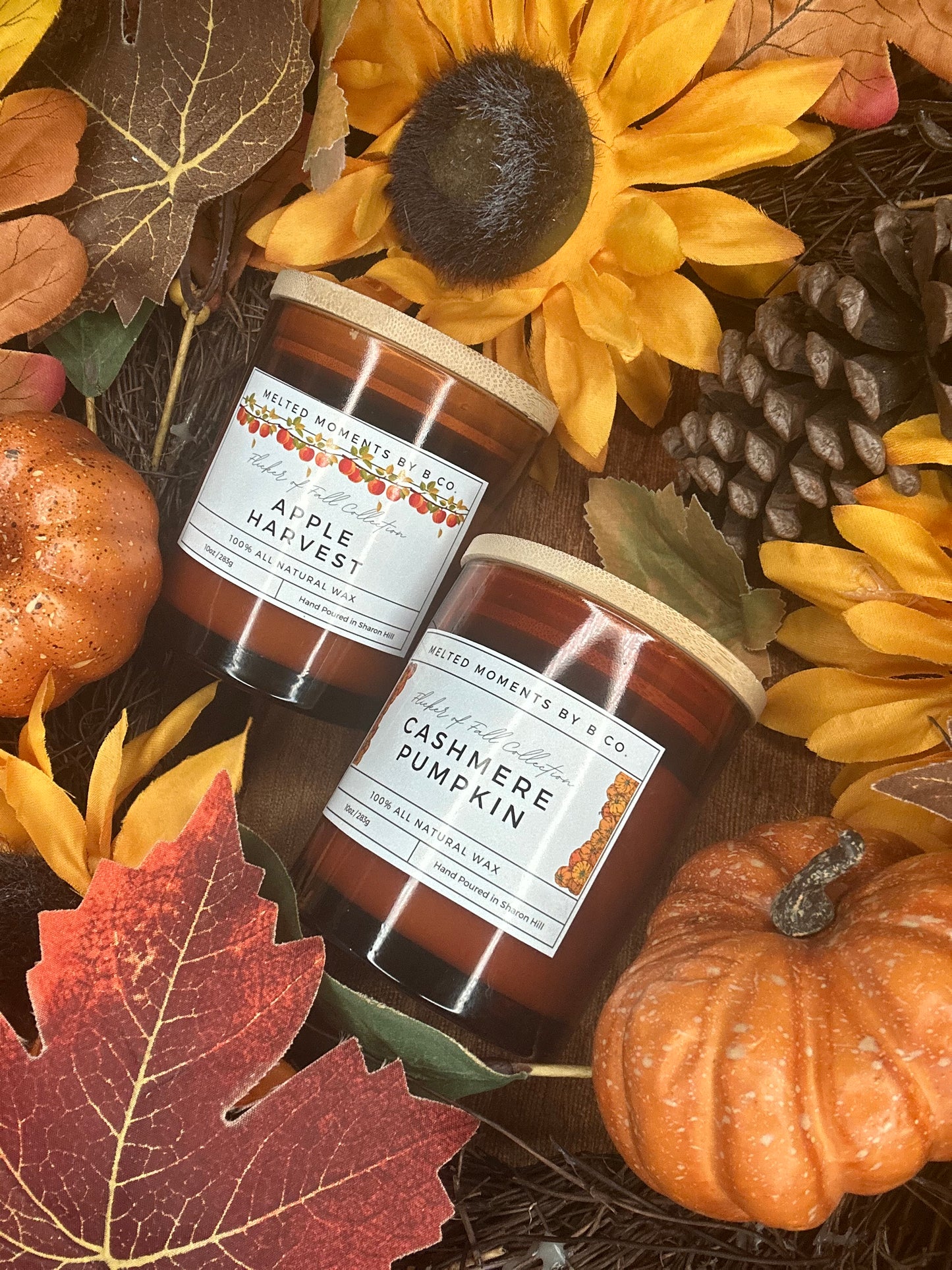 Flicker of Fall Collection